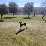 Des Deux Vallees La Borieta Du Causse - Рокамадур