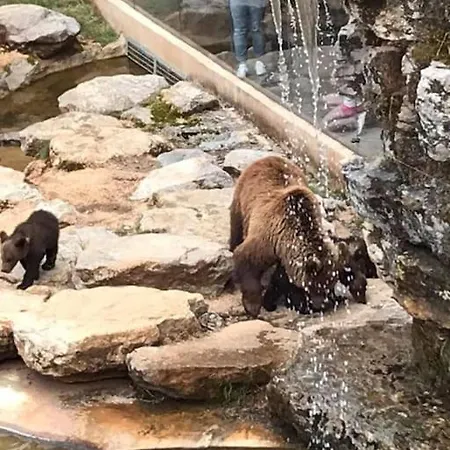 Dom wakacyjny Des Deux Vallees La Borieta Du Causse - *