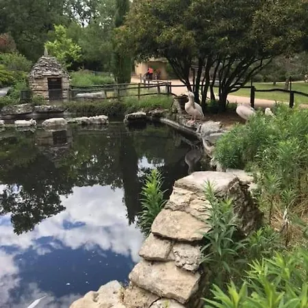 Des Deux Vallees La Borieta Du Causse - *