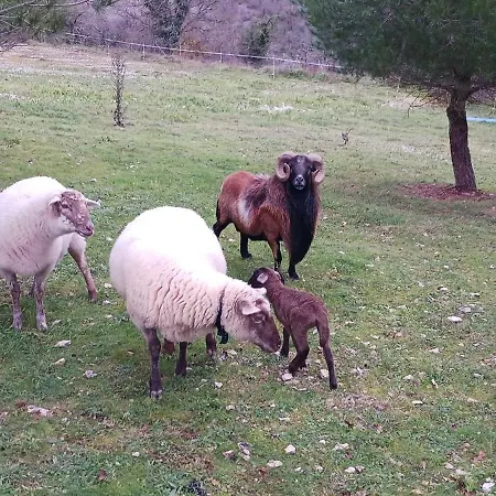 Des Deux Vallées La Borieta Du Causse - Casa vacanze *