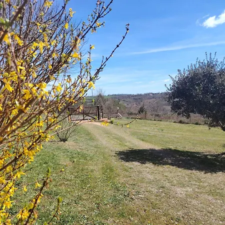 Des Deux Vallees La Borieta Du Causse - *