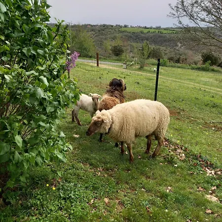 Dom wakacyjny Des Deux Vallees La Borieta Du Causse - Rocamadour
