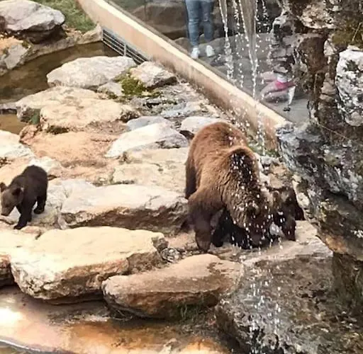 Ferienhaus Des Deux Vallees La Borieta Du Causse - *