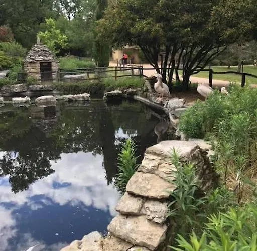 Des Deux Vallees La Borieta Du Causse - *