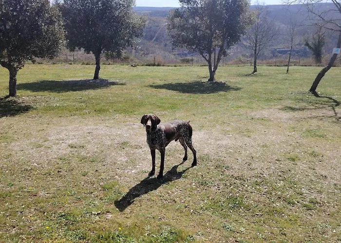 Des Deux Vallees La Borieta Du Causse - Rocamadour