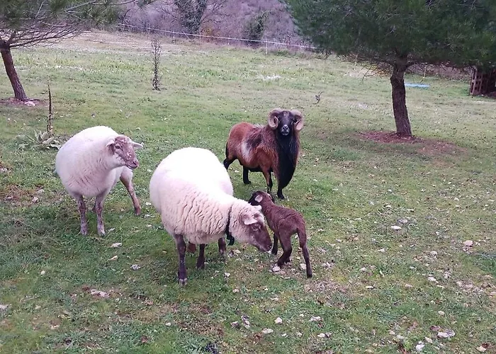 Des Deux Vallees La Borieta Du Causse - Ferienhaus *