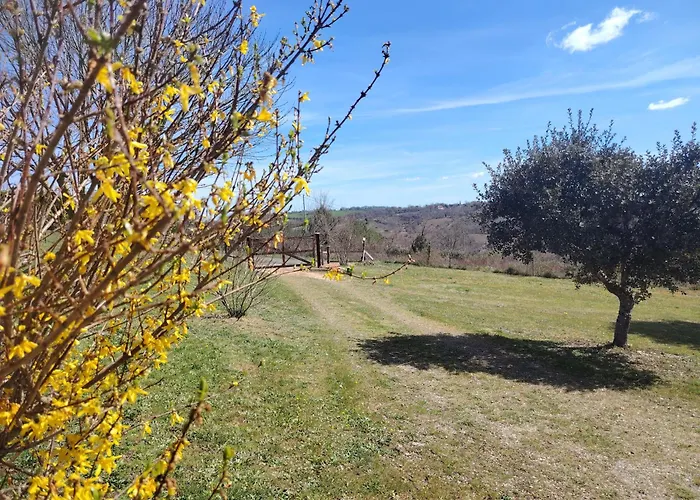 Des Deux Vallees La Borieta Du Causse - *