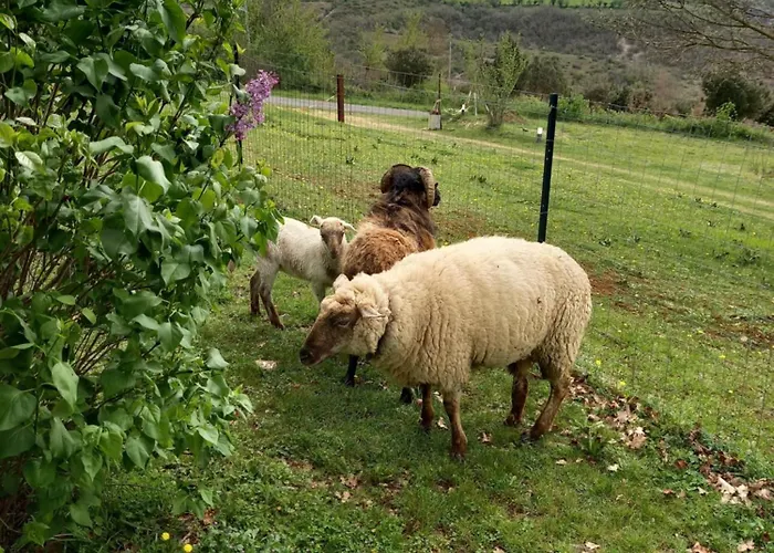 Ferienhaus Des Deux Vallees La Borieta Du Causse - Rocamadour